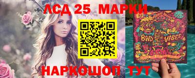 гидропоника Сланцы