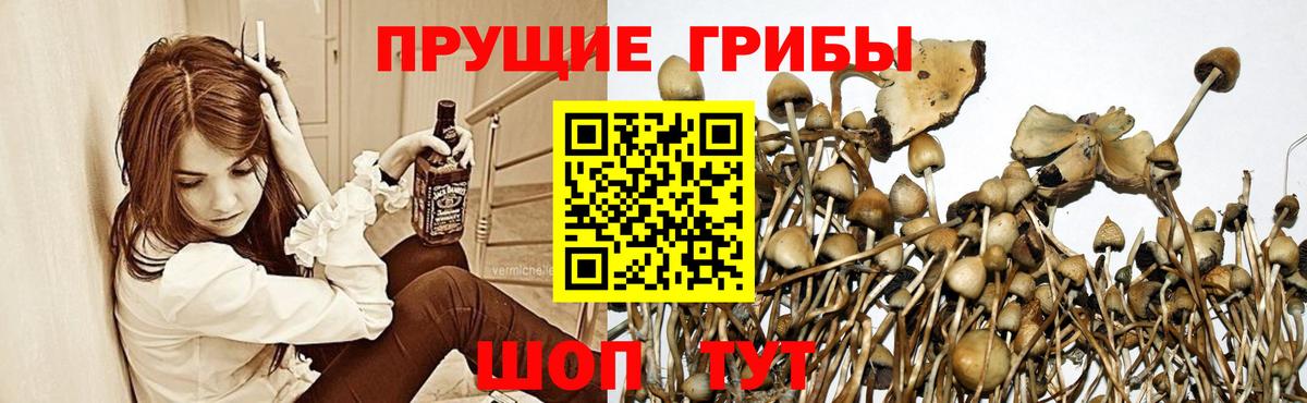 Псилоцибиновые грибы MAGIC MUSHROOMS  наркотики  Рыбинск  Вход с VPN 